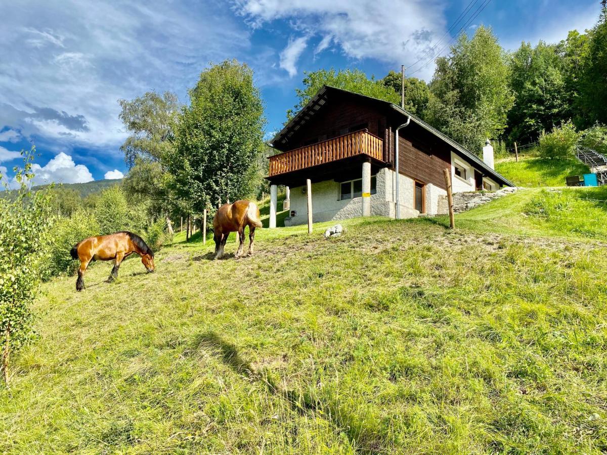 Eco Lodge With Jacuzzi And View In The Swiss Alps Grône Kültér fotó